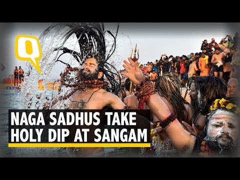 Shahi Snan Commences in Ardh Kumbh, Naga Sadhus Take the First Dip | The Quint