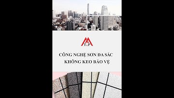 CHUYỂN GIAO CÔNG NGHỆ SƠN ĐA SẮC/ SƠN GIẢ ĐÁ