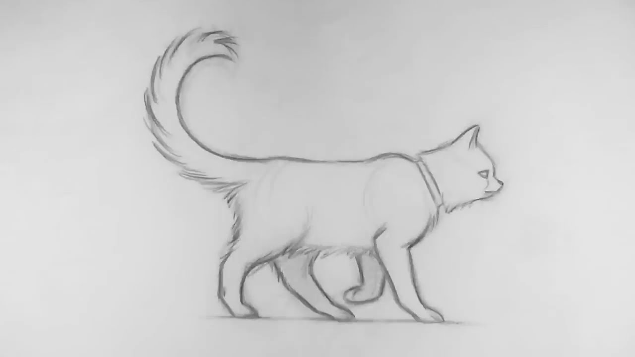 Featured image of post How To Draw A Cat Walking Easy Step By Step How to draw a cute bunny easy step by step