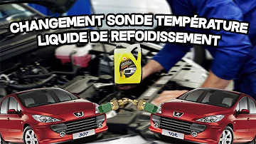 Où se trouve la sonde de température sur 307 ?