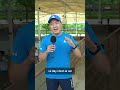 Hướng dẫn đường đến điểm thi đấu Ppa Tour Asia tại Global City Park. #PPATourAsia