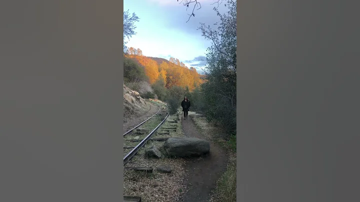 Sarahs walking the Tracks