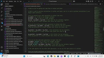 Python Papi / Smart Contracts - Moccasin Fundamentals setup - Day 9