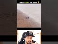 See the value of one second #viral #shorts #trending