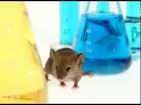 Victor Rodent Repellent in the Animal & Rodent Control department