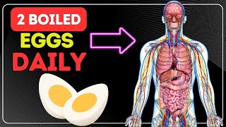 What Happens if You Eat 2 Boiled Eggs Everyday ? screenshot 1