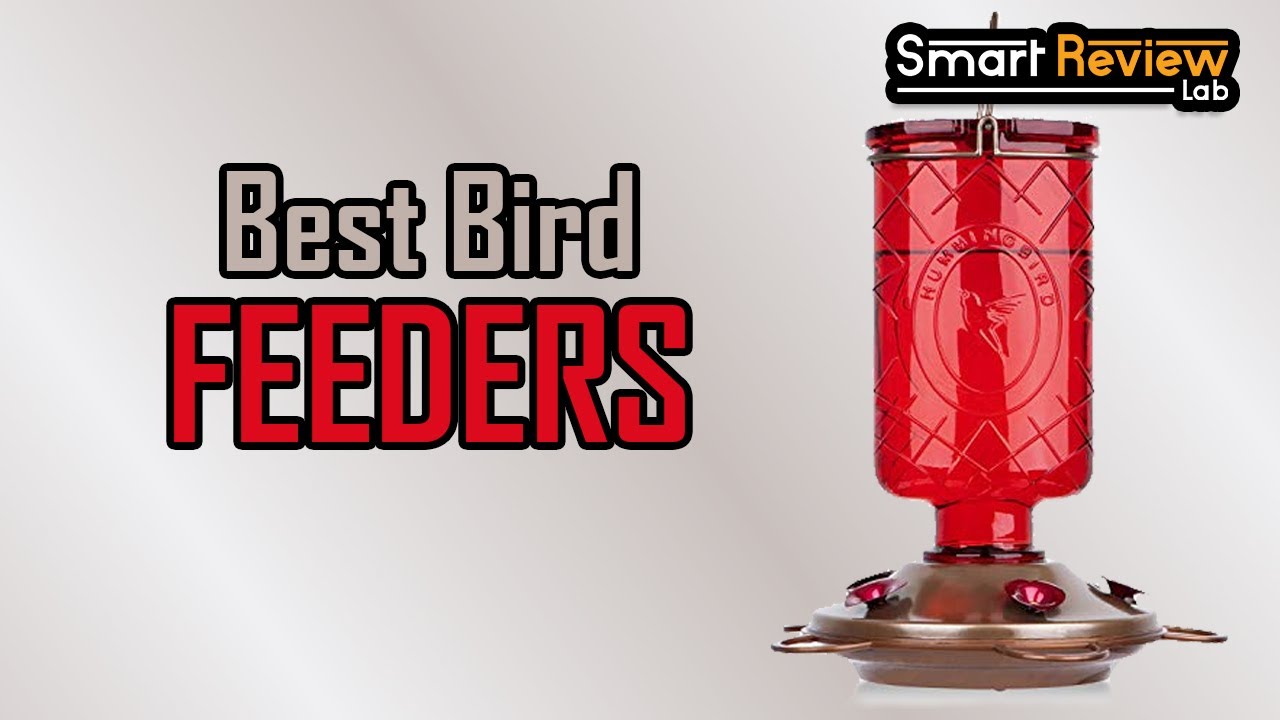 ️Bird Feeders Top 5 Best Bird Feeders For 2020 [ Buying Guide