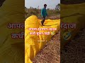शेतकरी#शेती#shetkari #farming#shorts#farmer #marathi#dialogue#yt #shortviral#vairal#video
