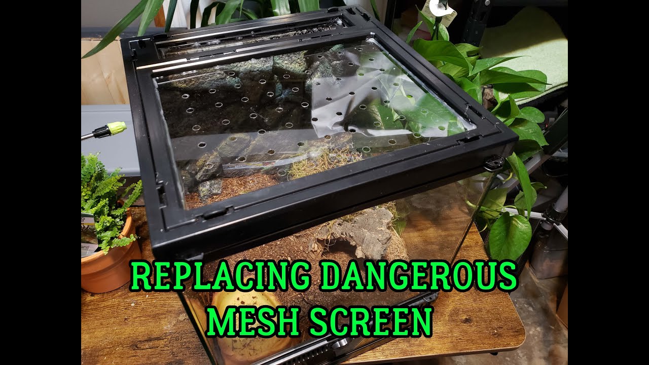 DIY Replacing a mesh lid with Lexan or acrylic on your Tarantula enclosure