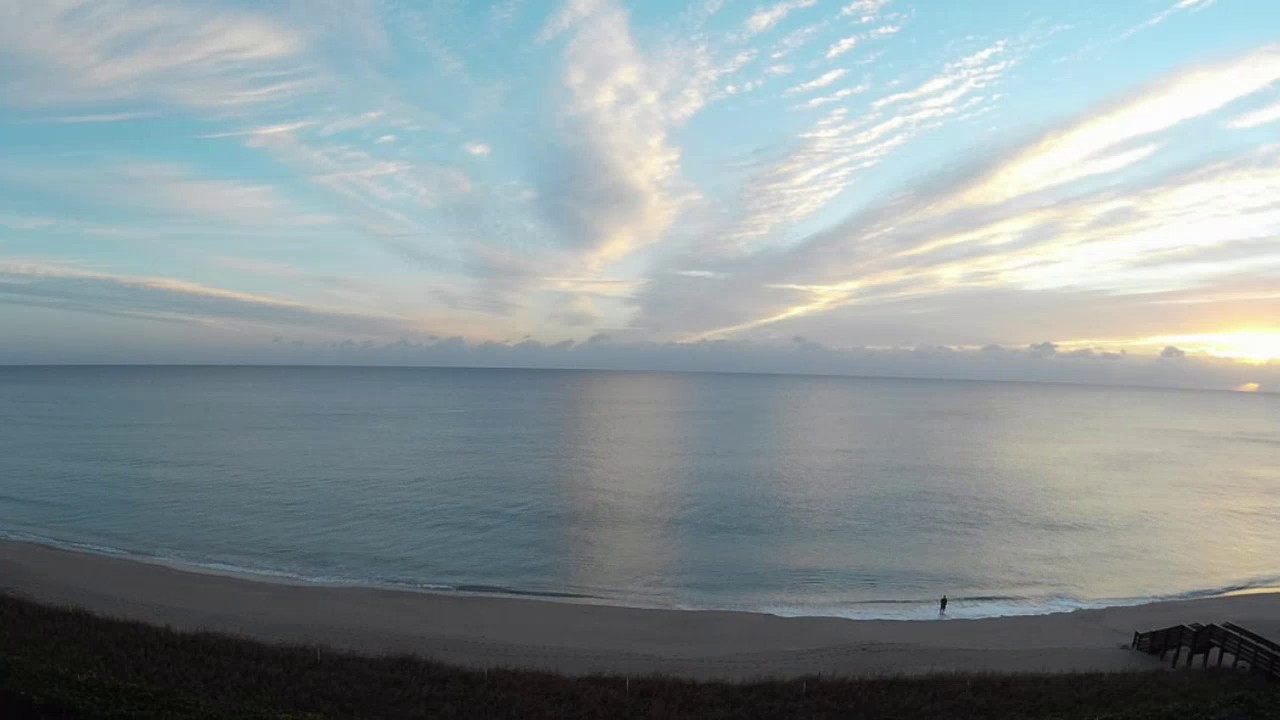 Manatee on Live Florida Beach Cam - Jensen Beach FL Live WebCam [HD]