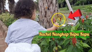 NANGKAP KUPU-KUPU DI TAMAN🦋