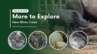 New Rhino Cams | More to Explore Live Show