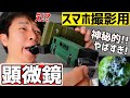 スマホ撮影におすすめ!ハンディ顕微鏡でミクロの世界を見てみたらヤバすぎ!!!【LOGOS】