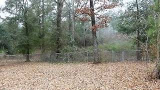 495 Bumphead Rd video tour