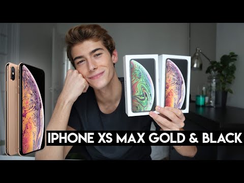 D  BALLAGE IPHONE XS MAX GOLD  amp  BLACK