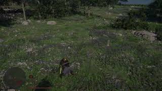 Crimson Desert Bug Devs please fix