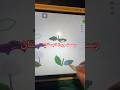 #multiplayer #art #drawingchallenge #ترند #اكسبلور #artworkout #رسم #drawing #تحدي_رسم #توكا_بوكا