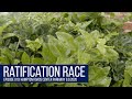 5K a Day for 5 Months - Ep. 010: &quot;Ratification Race&quot; 9.9.2020