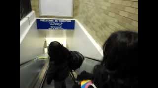 Memphis TN - Welcome