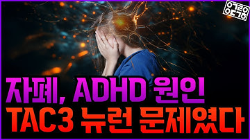 우리의 뇌는 어떻게 만들어졌을까? 뇌 발달 지도로 뇌의 비밀을 밝혀내다!