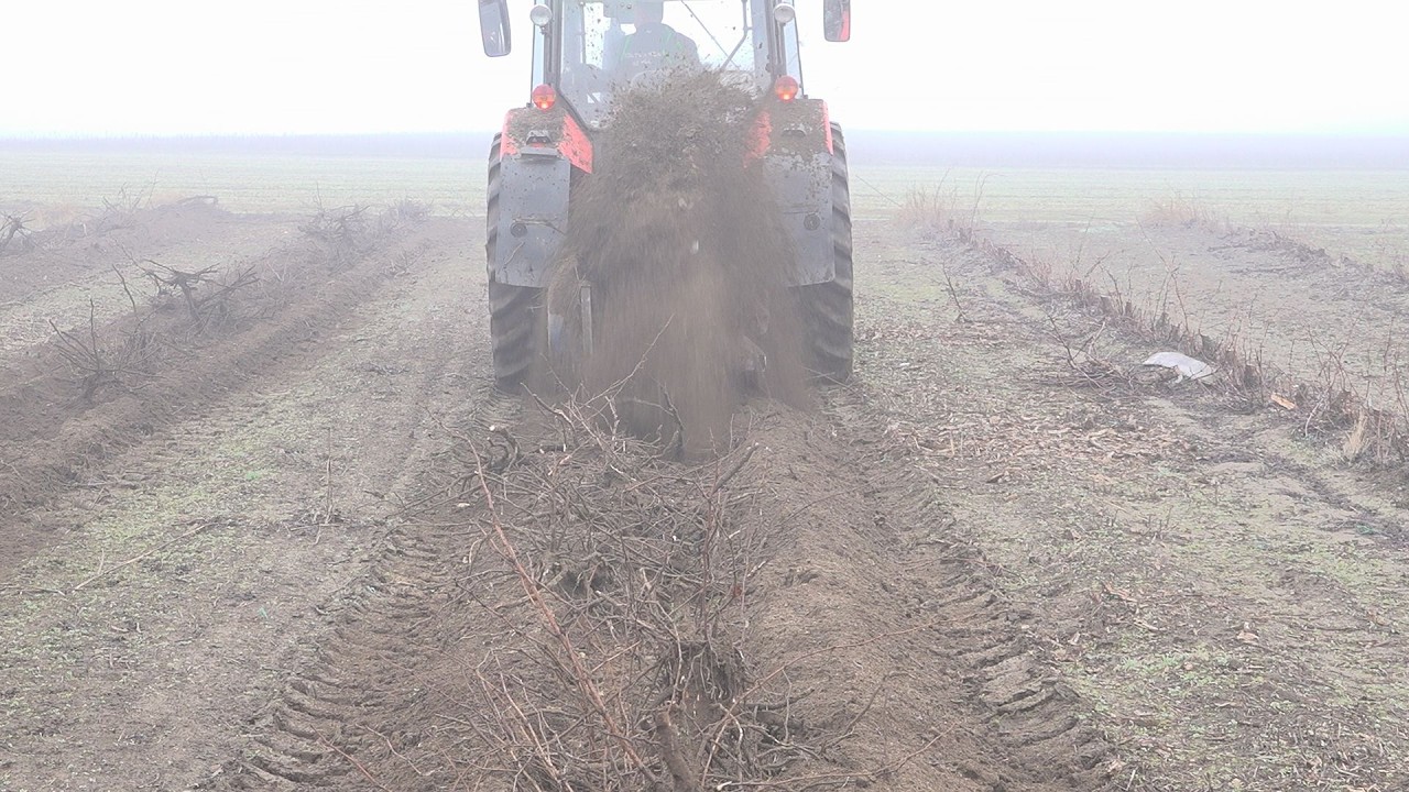 Tőkekiszedés után új ültetvény – megújul a Szőke Pincészet