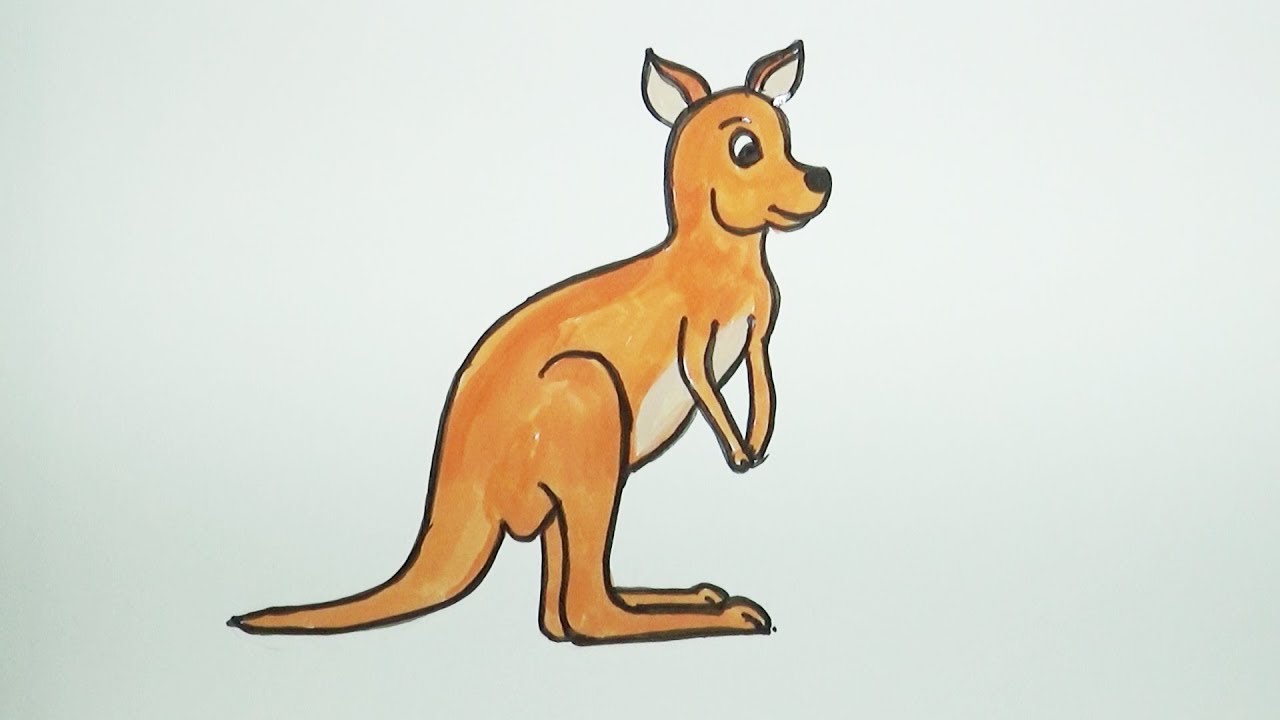 Как нарисовать кенгуру карандашом поэтапно для детей