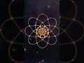Flower Life Loop - 24s Golden Sacred Geometry ✨ Psytrance Flow