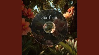 Download Lagu Starfruit