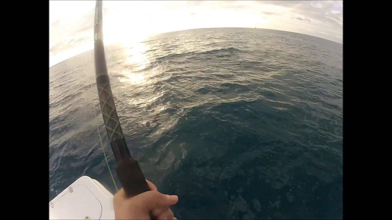 Trolling for dolphin at a weedline