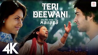 Teri Deewani - Kailash Kher (4K Video) | Kailasa | Paresh | Naresh Resimi