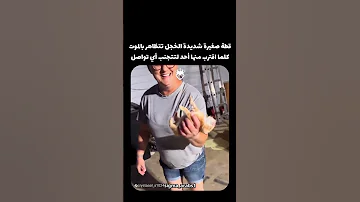 اغنية مش حانساك أغاني 2025 اكسبلور اغاني اكسبلور تعليم 