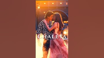 #jawan #chaleya #shahrukh  Khan #nayanthara #trending #shortsfeed