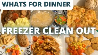 ZERO cost meals / Use it up / Freezer Challenge / Frugal Living