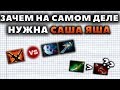 ЗАЧЕМ НА САМОМ ДЕЛЕ НУЖНА САШАЯША?