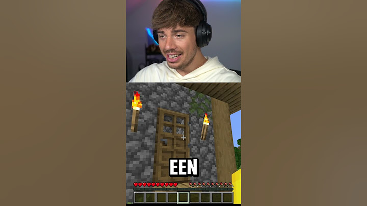Minecraft, maar als ik de letter T zeg, stopt deze video!