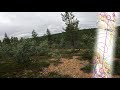 Low 2022 day 2  orienteering headcam