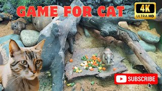 Cat TV mouse grabbing wheat grass, squabble, squeaking \& playing for cats to watch | Cat TV Mice