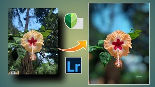 moody flower photo editing tutorial |Snapseed se photo kaise  edit Karen| screenshot 5