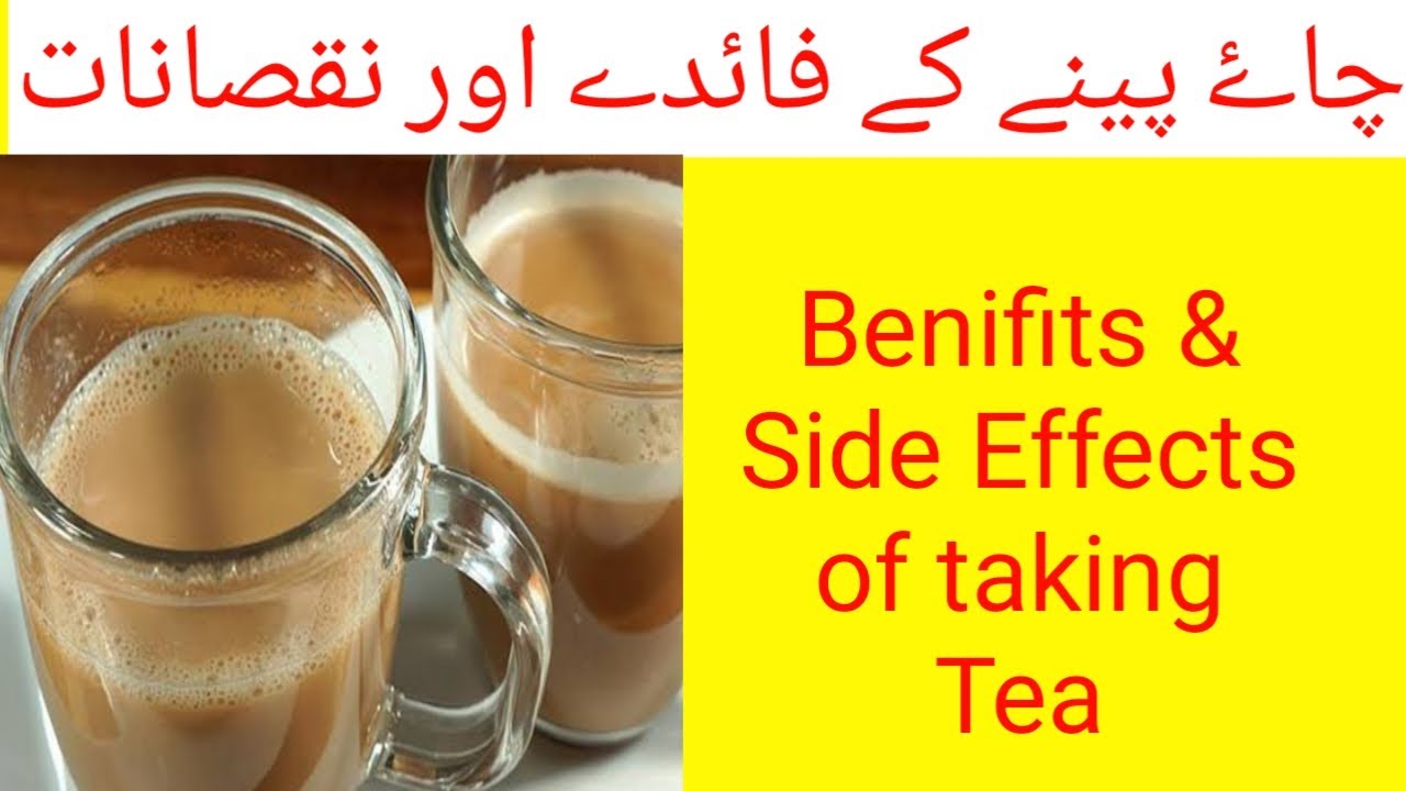 chai peene ke fayde aur nuksan chai peene ke fayde Benefits and