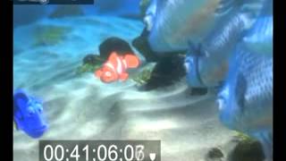 Buscando a Nemo DOBLAJE  clase, versión VOXTUDIO.avi
