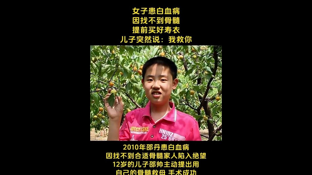 歷史故事一口氣看完 796193