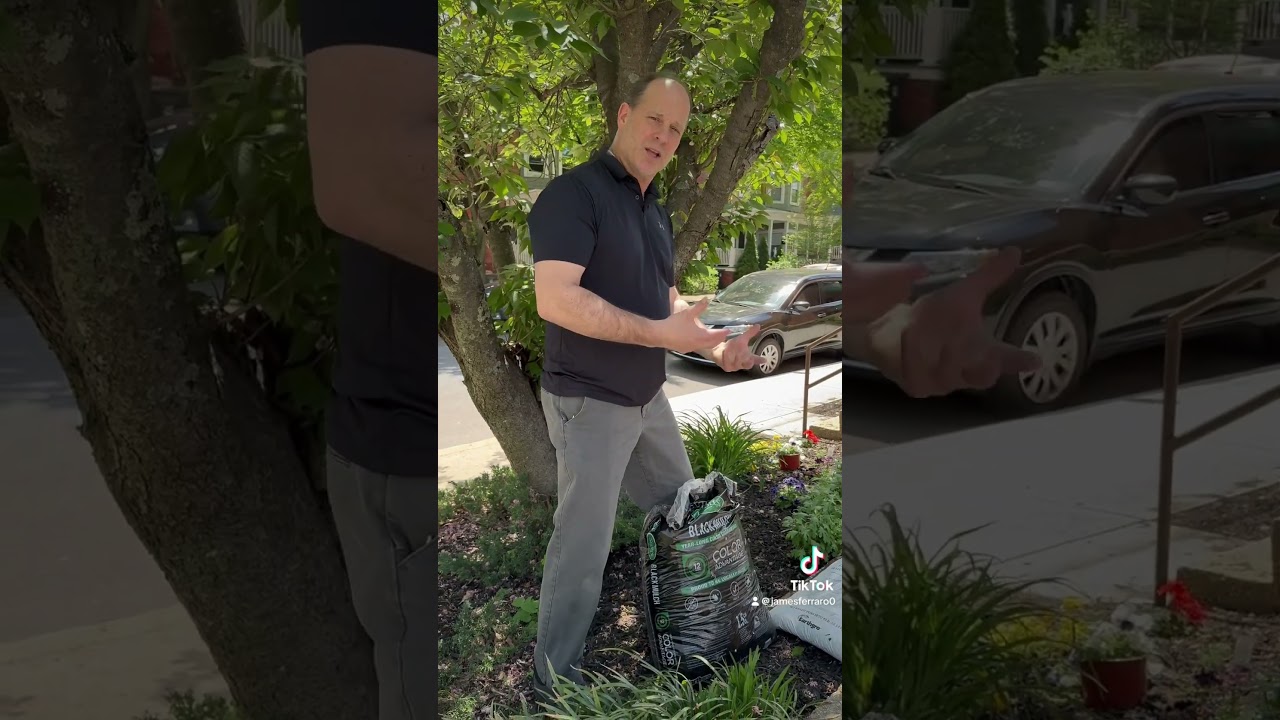 Back pain from yard work? 