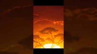 🔥🔥#music#youtube#rell#viral#shorts#dj#afro#playlist#viralvideo@adam port@