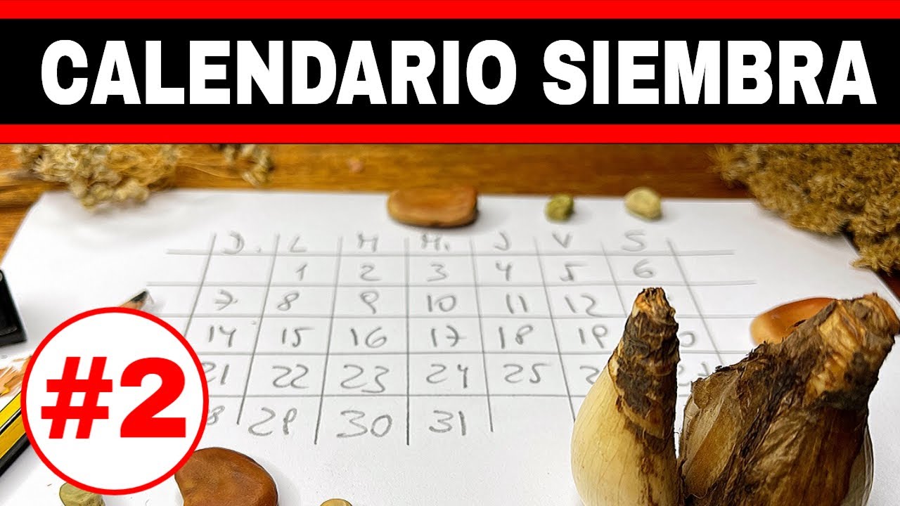 ✔️Calendario de Siembra - Todo