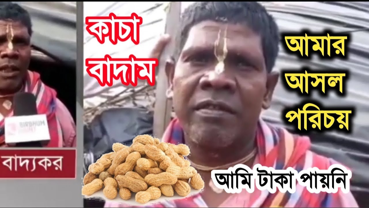 badam song badam badam dada kacha badam song badam original song ek