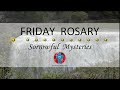 Friday Rosary • Sorrowful Mysteries of the Rosary 💜 May 31, 2024 VIRTUAL ROSARY - MEDITATION