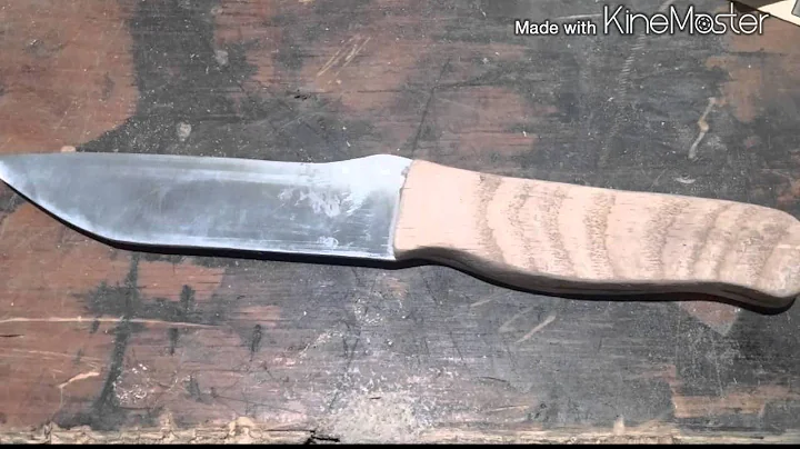 stem school project
