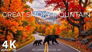 Great Smoky Mountains Autumn 4K 🍂 Brilliant Fall Foliage & Blue Ridge Mountain Views