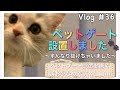 猫【ミヌエット】150センチ　ペットゲート設置しました。