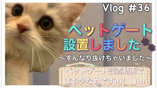 猫【ミヌエット】150センチ　ペットゲート設置しました。